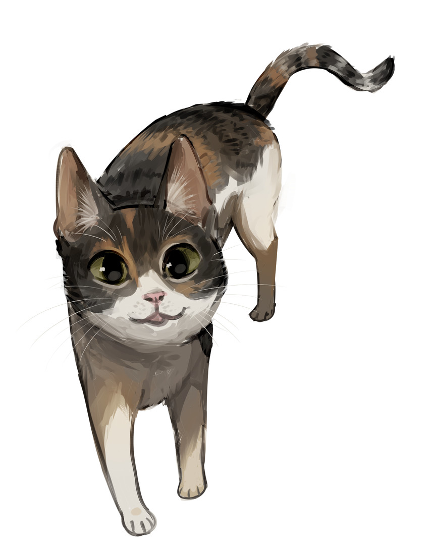 created by flavia-elric