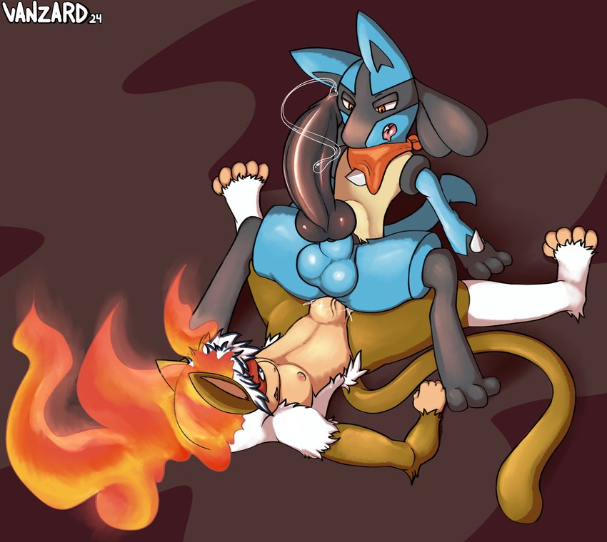 fan character and vanzard (pokemon mystery dungeon and etc) created by vanzard