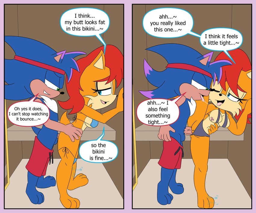 sally acorn (sonic the hedgehog (archie) and etc) created by mrgenoraven