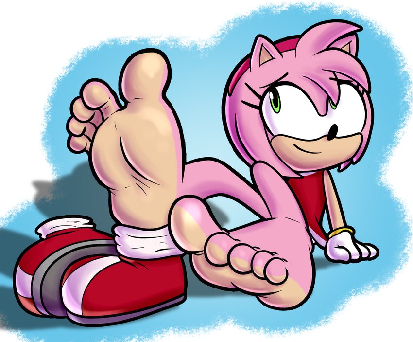 amy rose (sonic the hedgehog (series) and etc) created by baggy (artist)