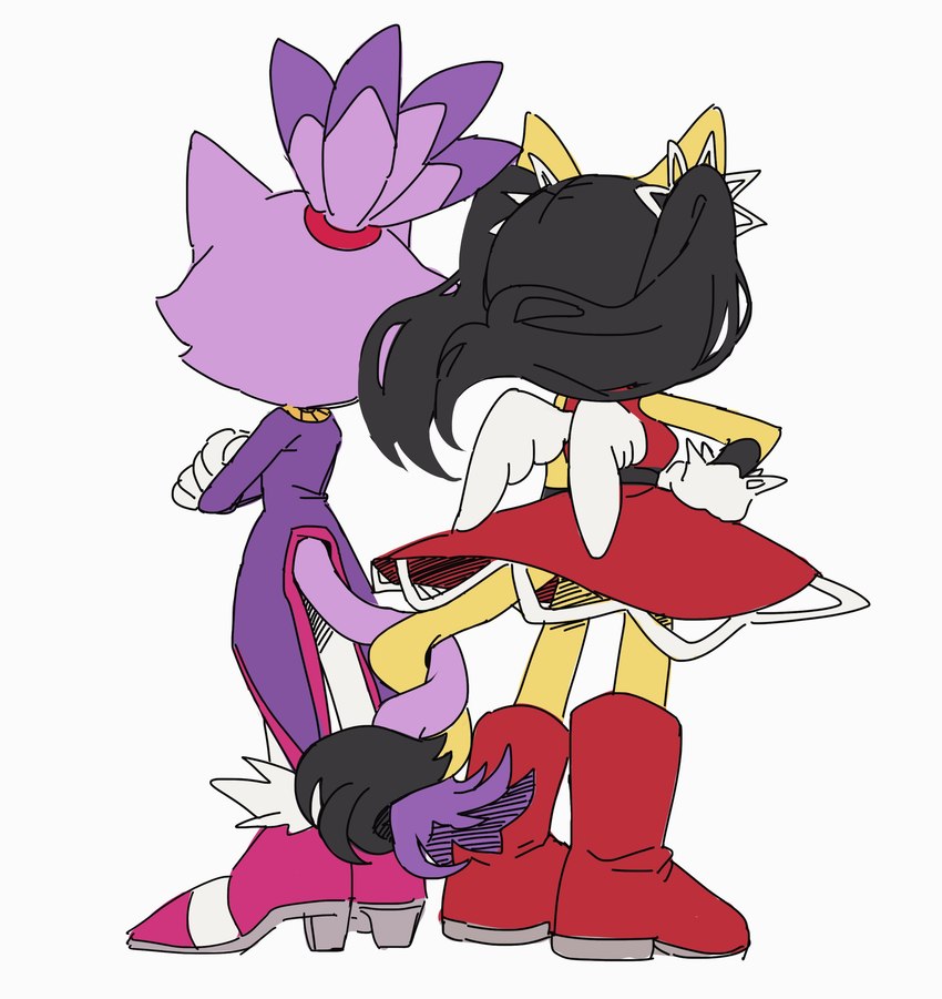 blaze the cat and honey the cat (sonic the hedgehog (series) and etc) created by roastedgarlics2