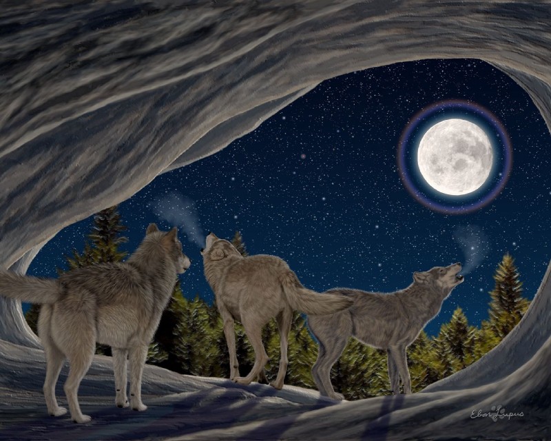 moon burst (three wolf moon) created by ebon lupus