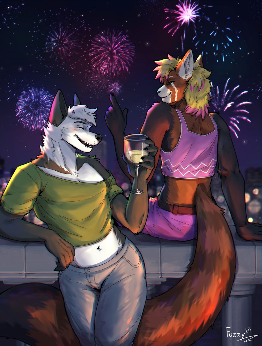 new year created by fuzziness