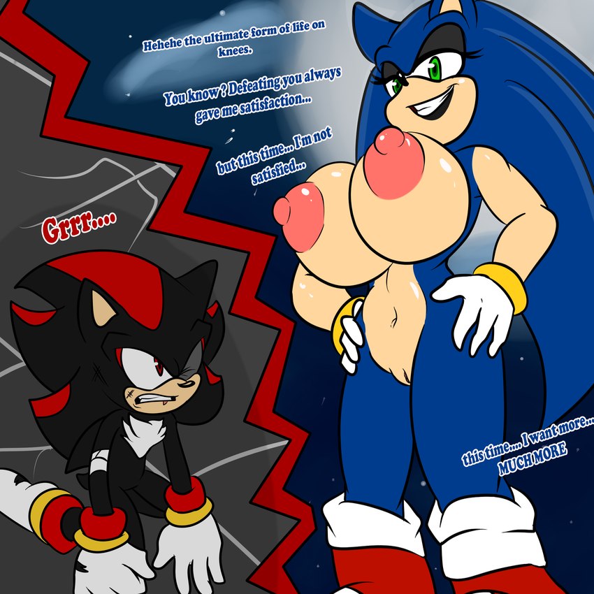 shadow the hedgehog and sonic the hedgehog (sonic the hedgehog (series) and etc) created by soulyagami64