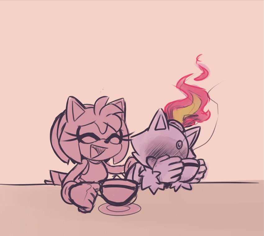 amy rose and blaze the cat (sonic the hedgehog (series) and etc) created by karl0