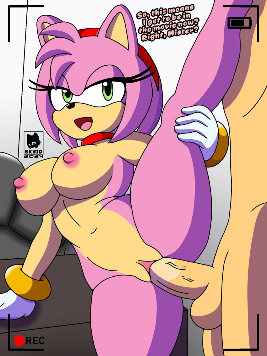 amy rose (sonic the hedgehog (series) and etc) created by skwid