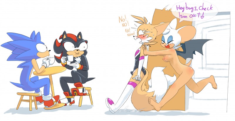 miles prower, rouge the bat, shadow the hedgehog, and sonic the hedgehog (sonic the hedgehog (series) and etc) created by sparkydb