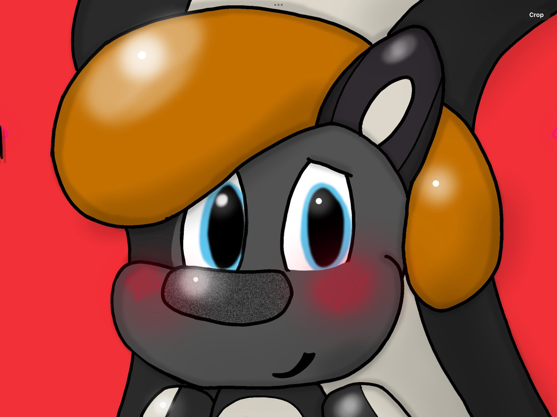 created by springskunkad