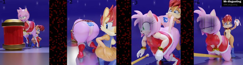 amy rose and sally acorn (sonic the hedgehog (archie) and etc) created by mr disgusting