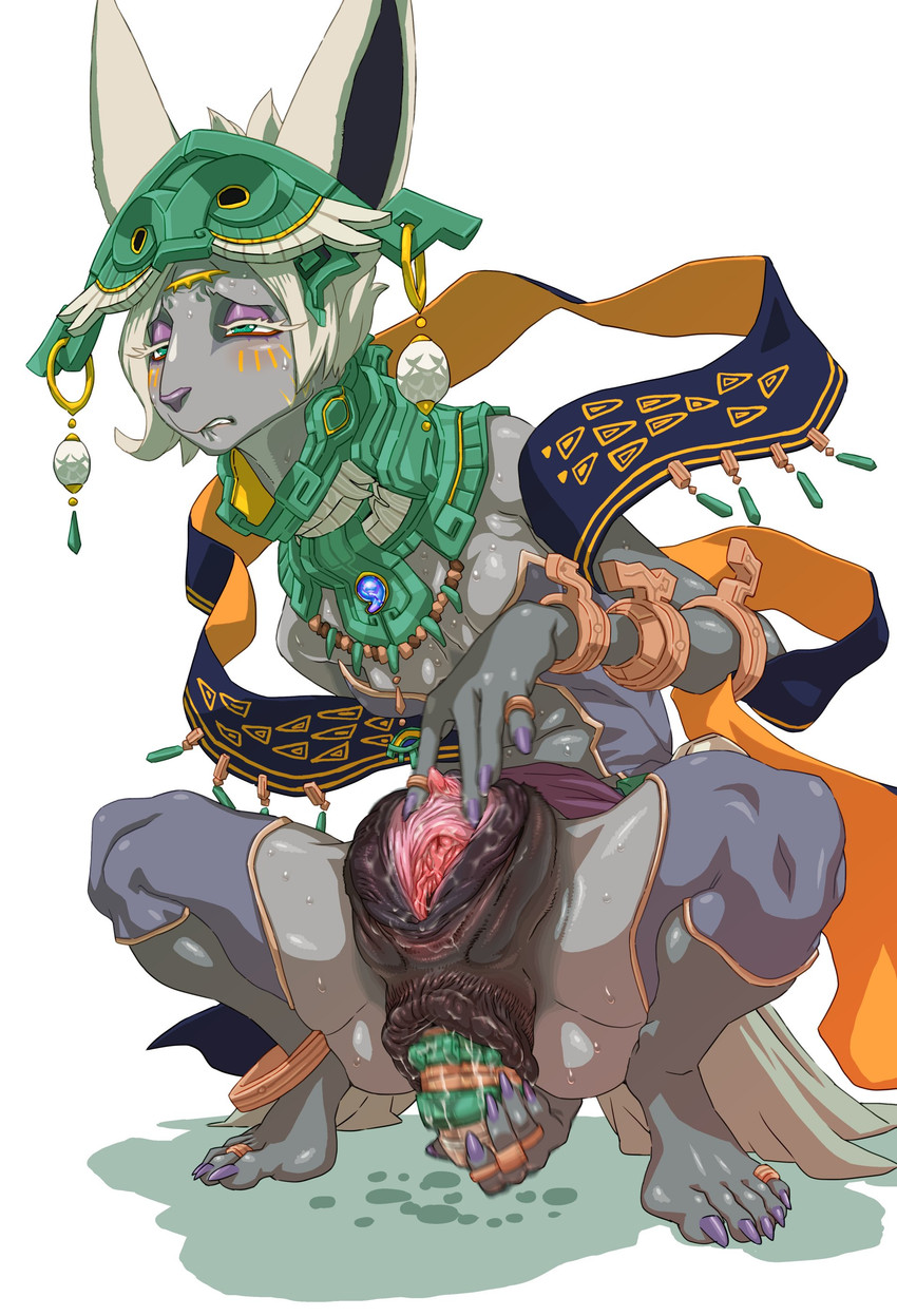 mineru (tears of the kingdom and etc) created by nezumi (artist)