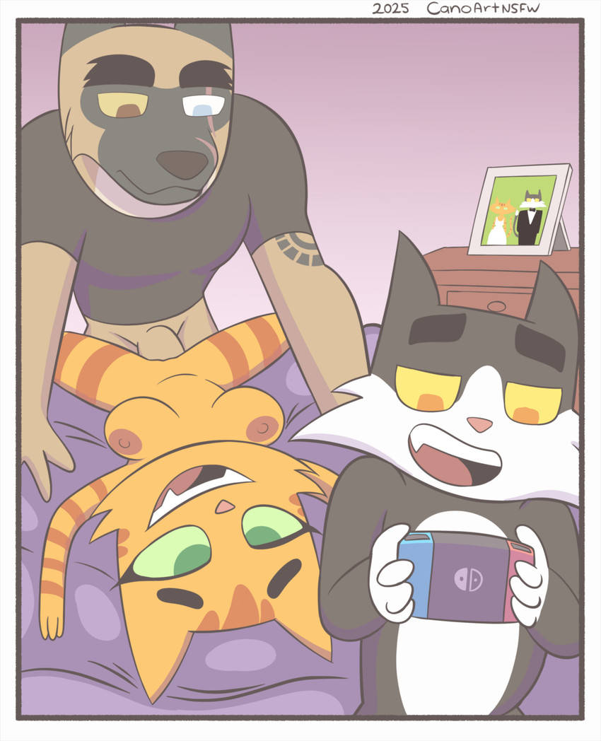 brutus, fran, and joel (litterbox comics and etc) created by canoart