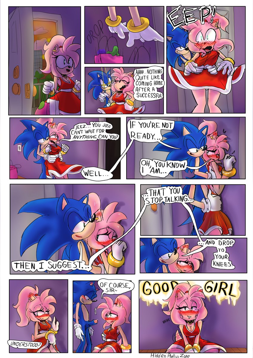 amy rose and sonic the hedgehog (sonic the hedgehog (series) and etc) created by hiddenphalluszone