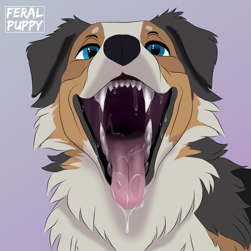 created by feral-puppy