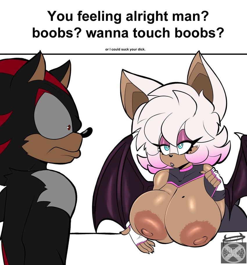 rouge the bat and shadow the hedgehog (sonic the hedgehog (series) and etc) created by cross samax