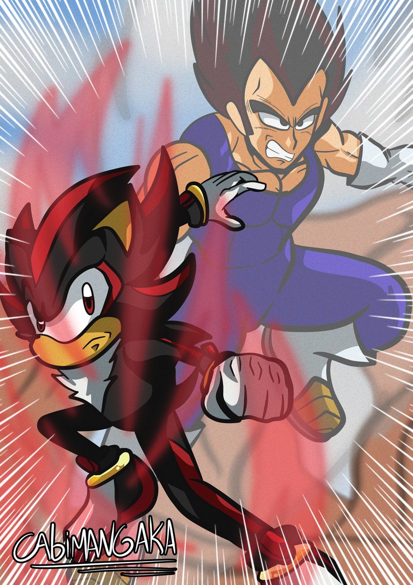 shadow the hedgehog and vegeta (sonic the hedgehog (series) and etc) created by cabimangaka