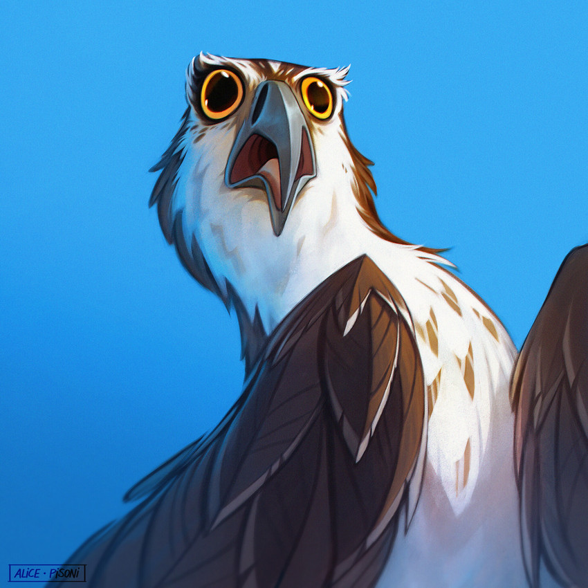 created by alice pisoni