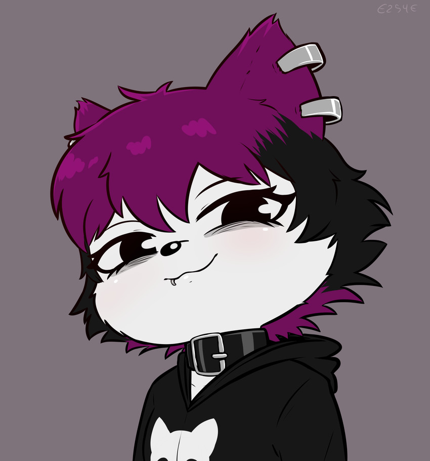 veronica created by e254e