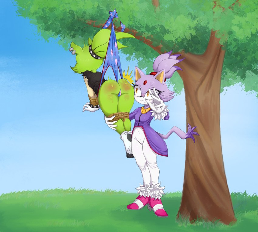 blaze the cat and surge the tenrec (sonic the hedgehog (comics) and etc) created by doki959