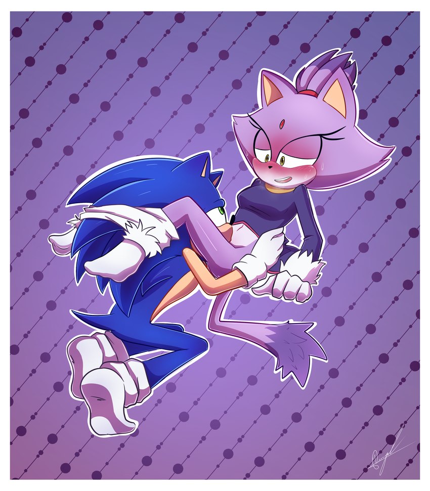 blaze the cat and sonic the hedgehog (sonic the hedgehog (series) and etc) created by miguel arts