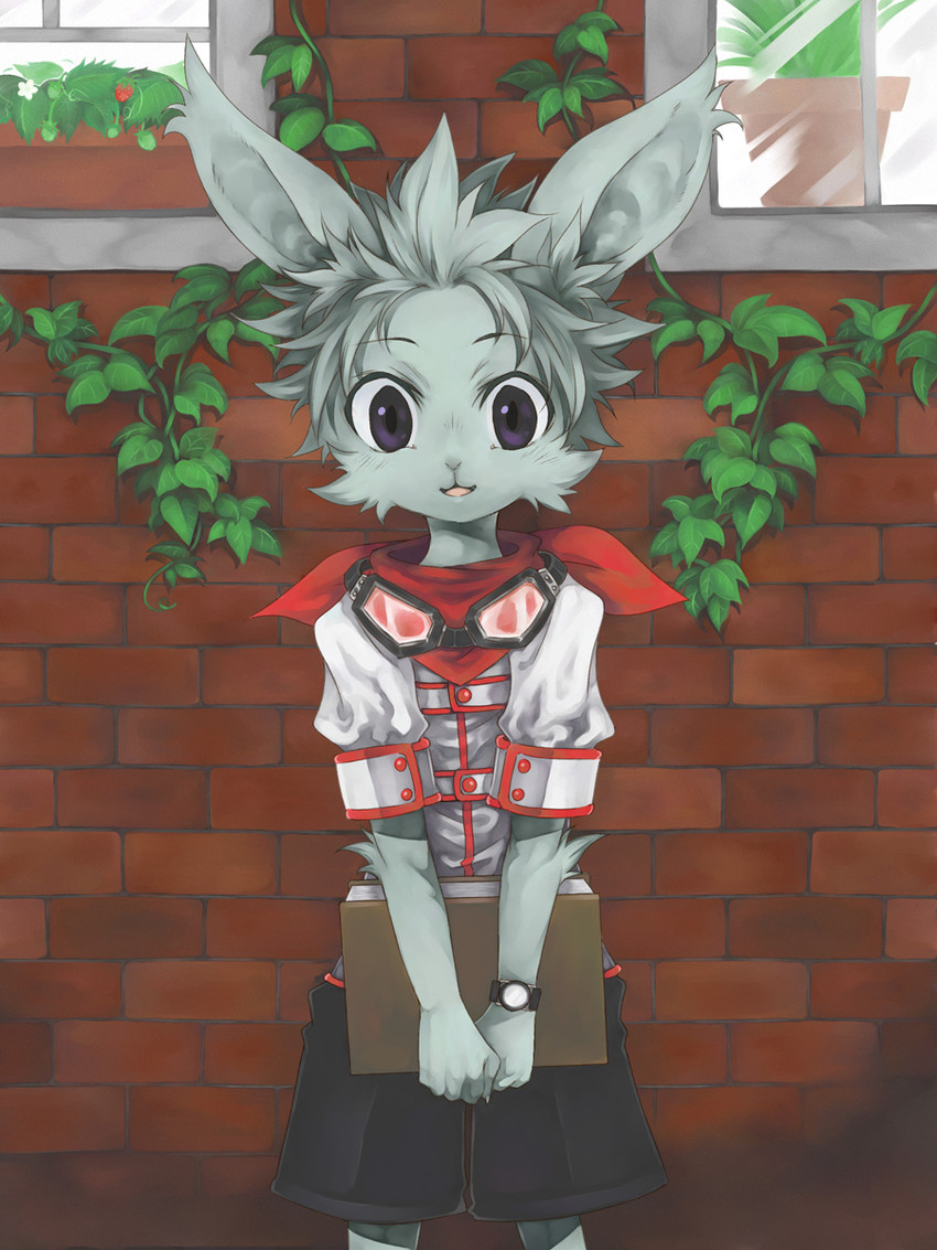 created by tsubutekuro