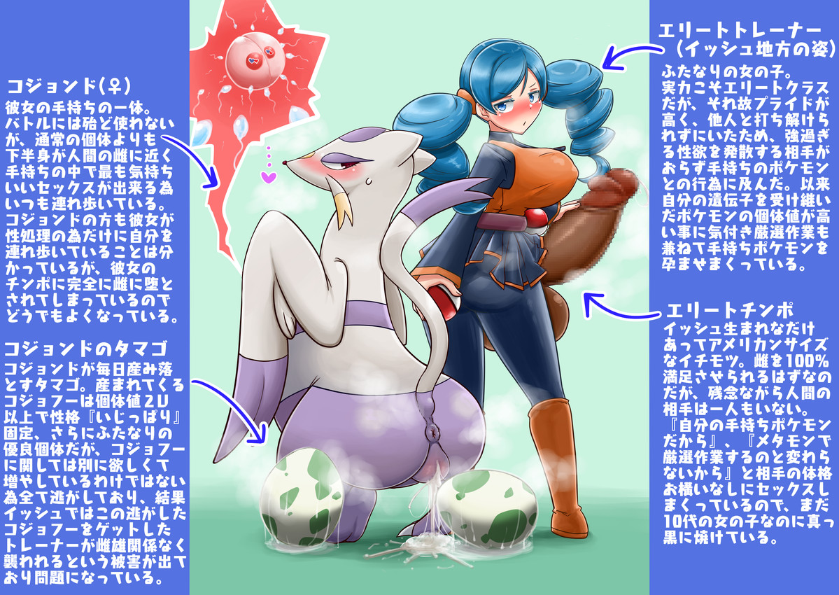 ace trainer (nintendo and etc) created by nizikuroryu