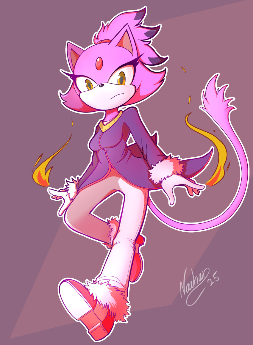blaze the cat (sonic the hedgehog (series) and etc) created by nachan
