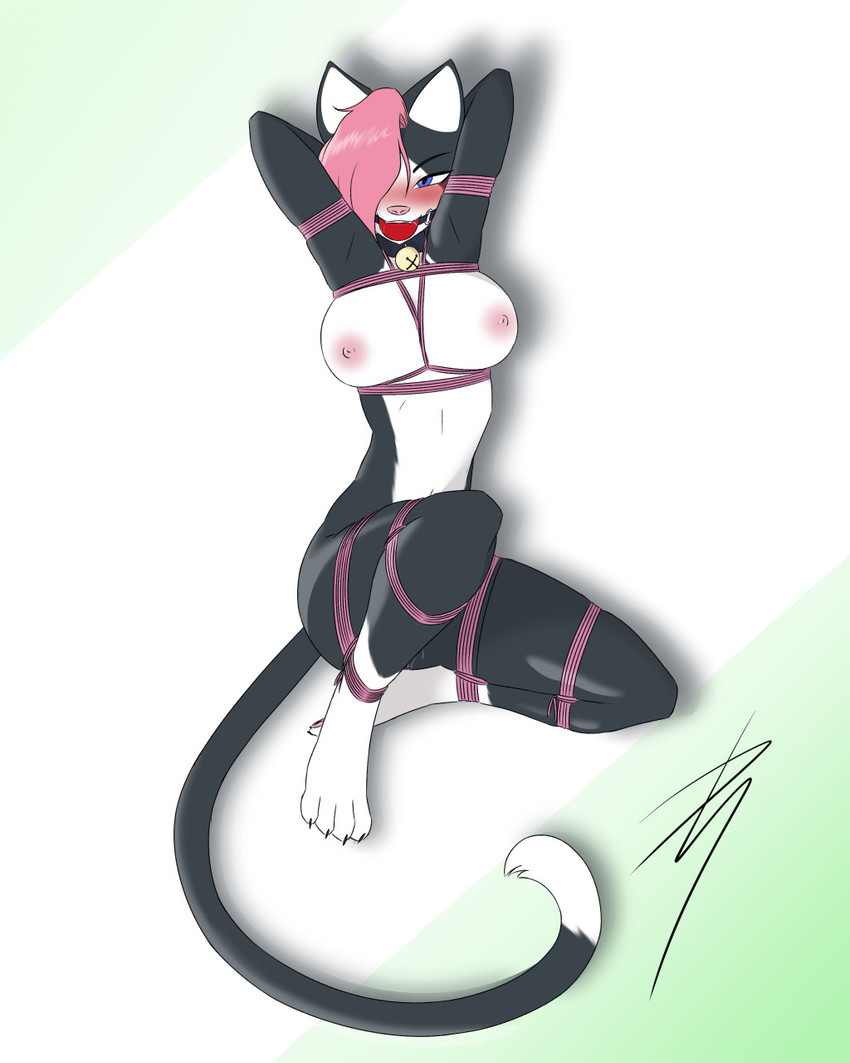 zinni created by deviantstyle