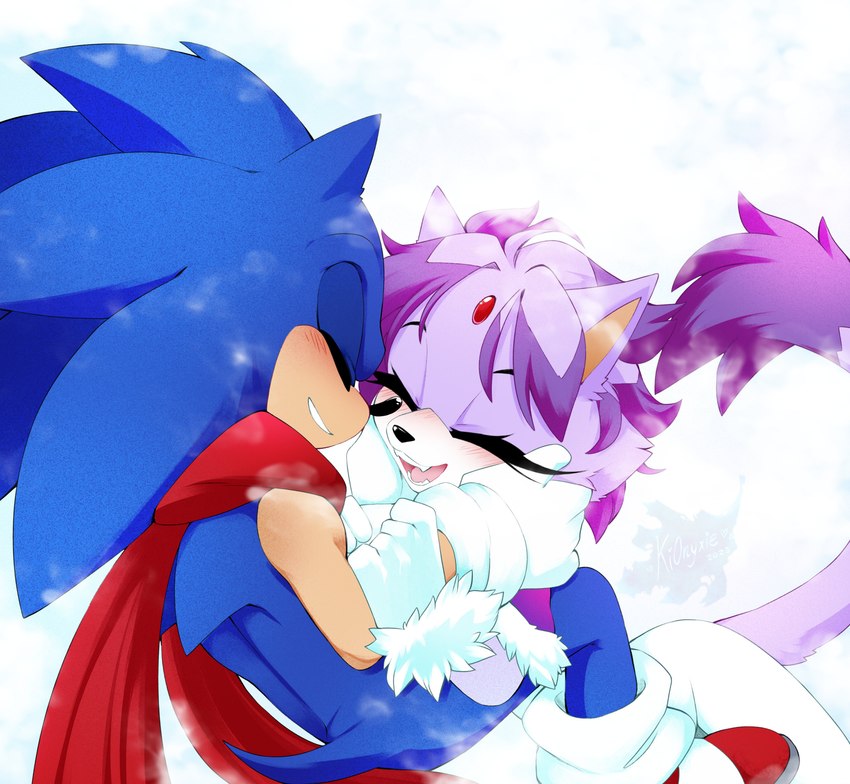 blaze the cat and sonic the hedgehog (sonic the hedgehog (series) and etc) created by ki0nyxie