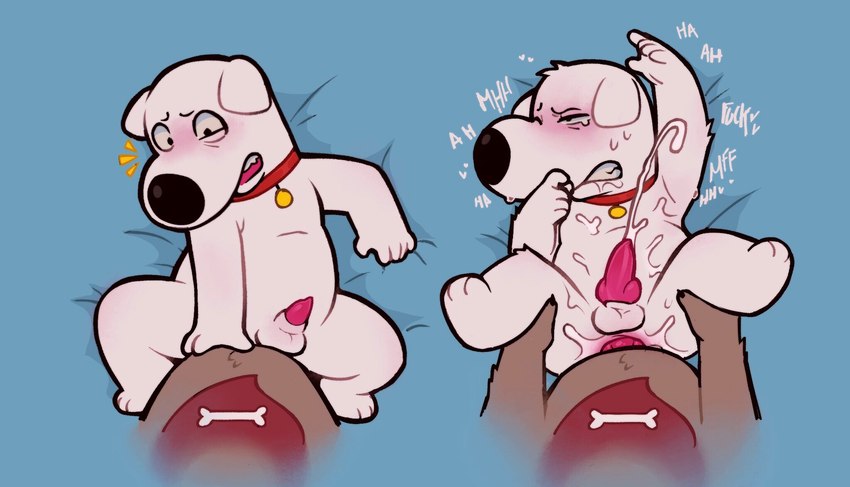 brian griffin and new brian (family guy) created by anonpupb