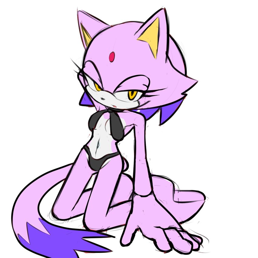 blaze the cat (sonic the hedgehog (series) and etc) created by fixstern star