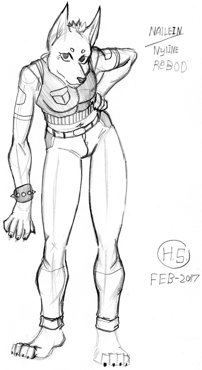 nyline rebod created by harpseal