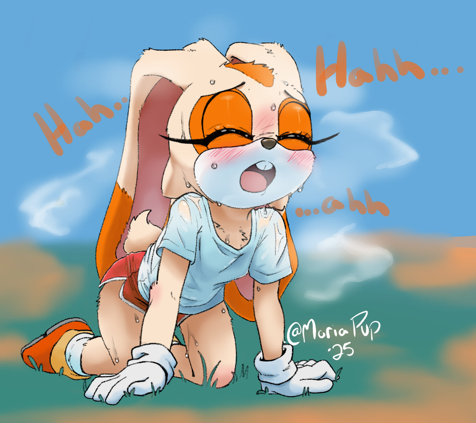 cream the rabbit (sonic the hedgehog (series) and etc) created by moriapup