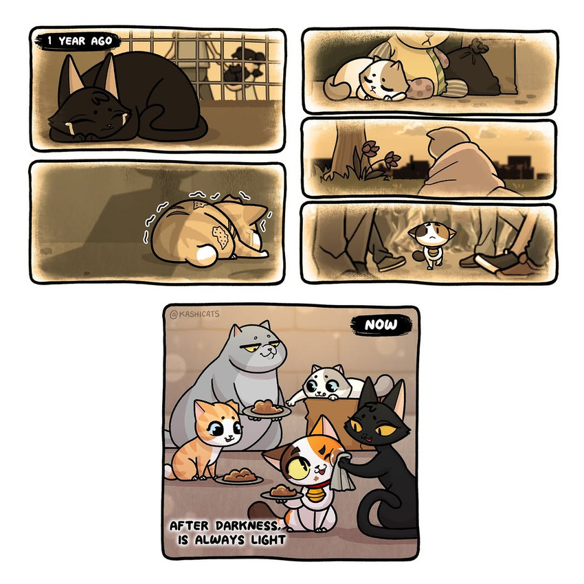 bru, butter, cali, mido, and mochi created by kashicats