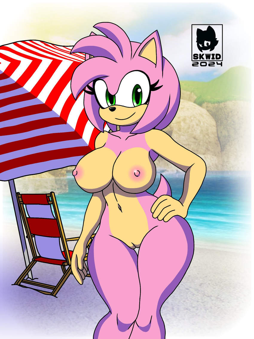 amy rose (sonic the hedgehog (series) and etc) created by skwid