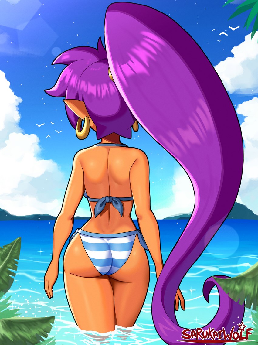 shantae (shantae (series) and etc) created by sarukaiwolf