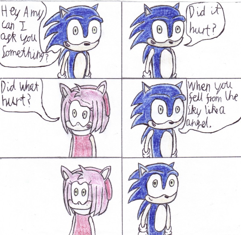 amy rose and sonic the hedgehog (sonic the hedgehog (series) and etc) created by unknown artist