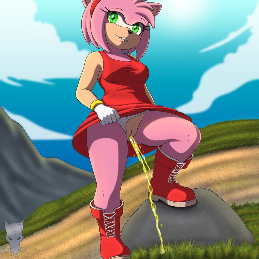 amy rose (sonic the hedgehog (series) and etc) created by lycadio