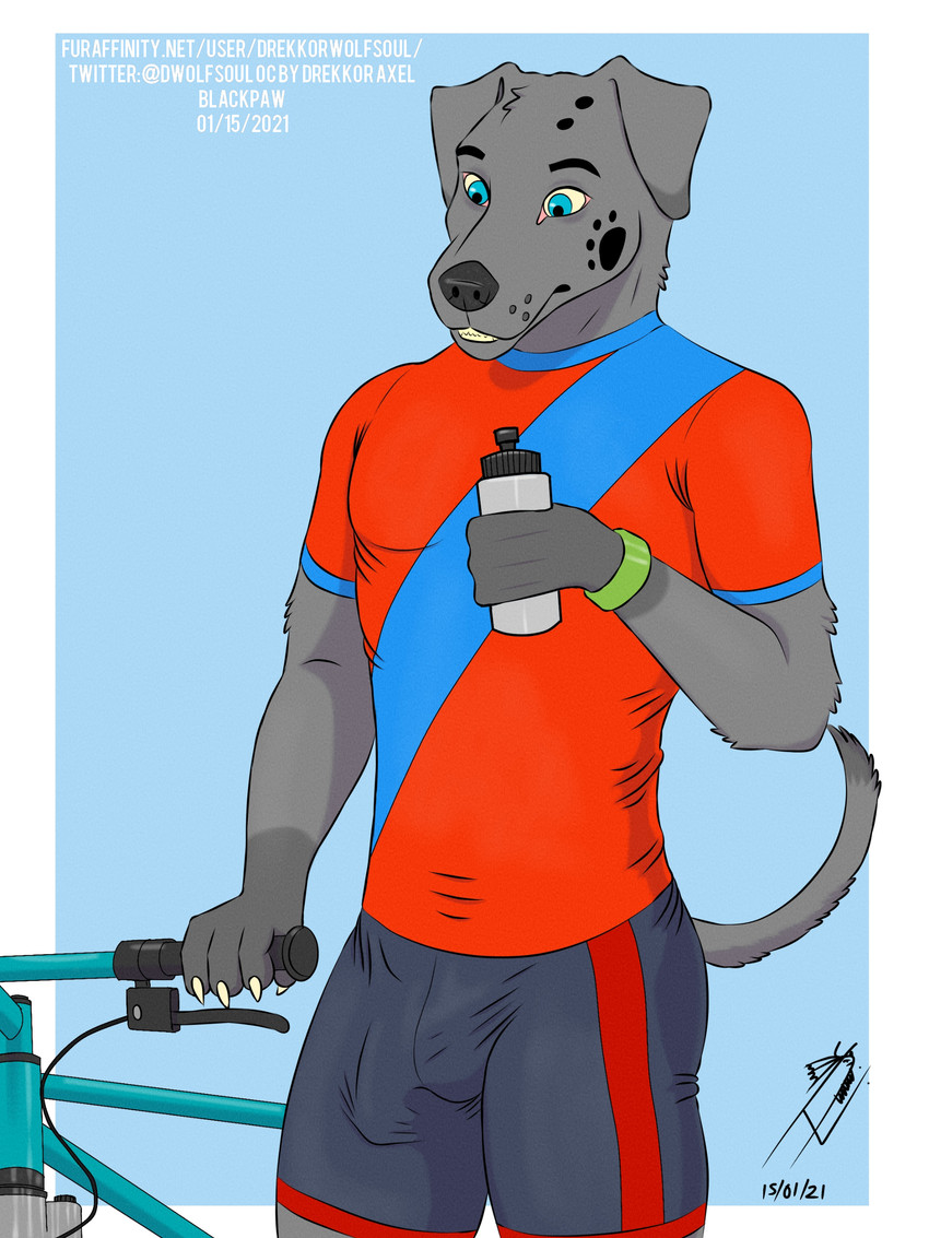 axel blackpaw created by drekkorwolfsoul