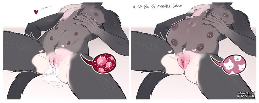 created by meowcephei