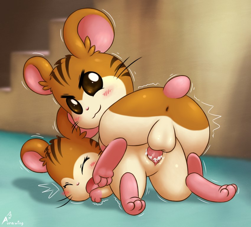 sandy and stan (hamtaro (series)) created by aurawing