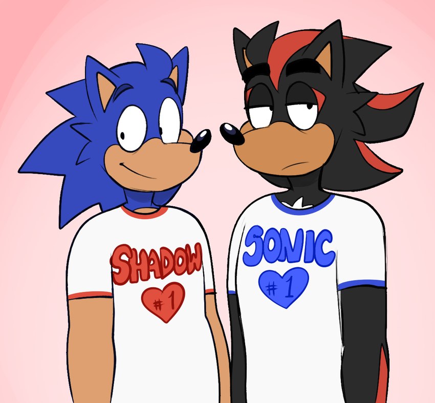 shadow the hedgehog and sonic the hedgehog (sonic the hedgehog (series) and etc) created by beastofeuthanasia