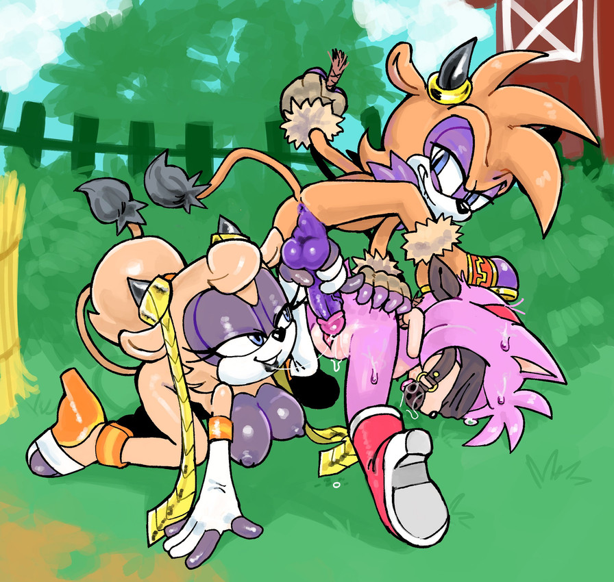 amy rose, quarry the cow, and rock the bull (sonic the hedgehog (series) and etc) created by rexuranus