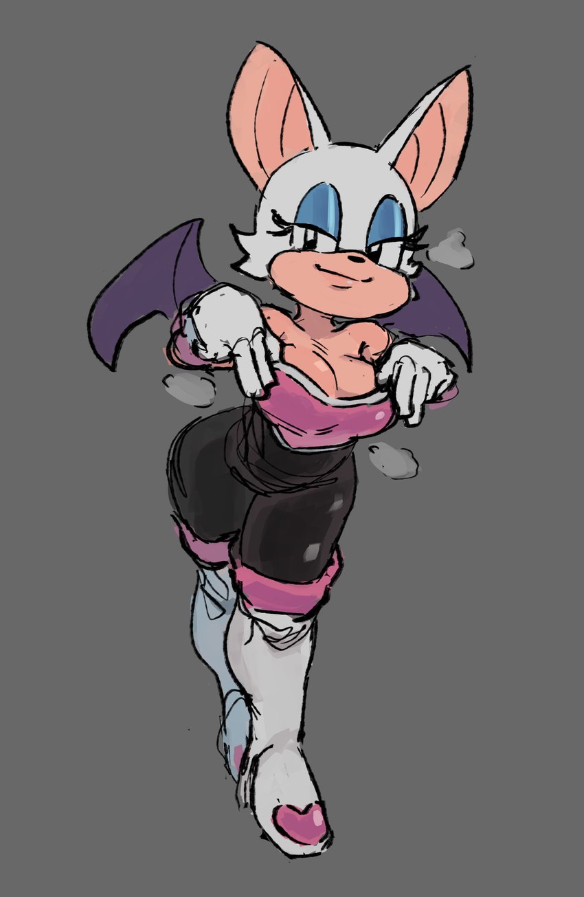 rouge the bat (sonic the hedgehog (series) and etc) created by karu184