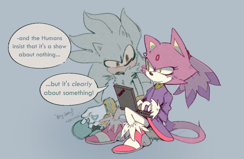 blaze the cat and silver the hedgehog (sonic the hedgehog (series) and etc) created by nokonorii