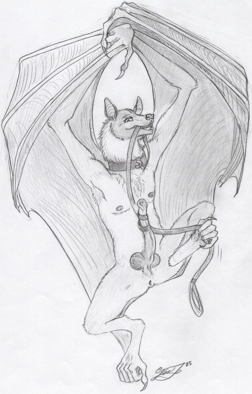 created by floofy feathers303