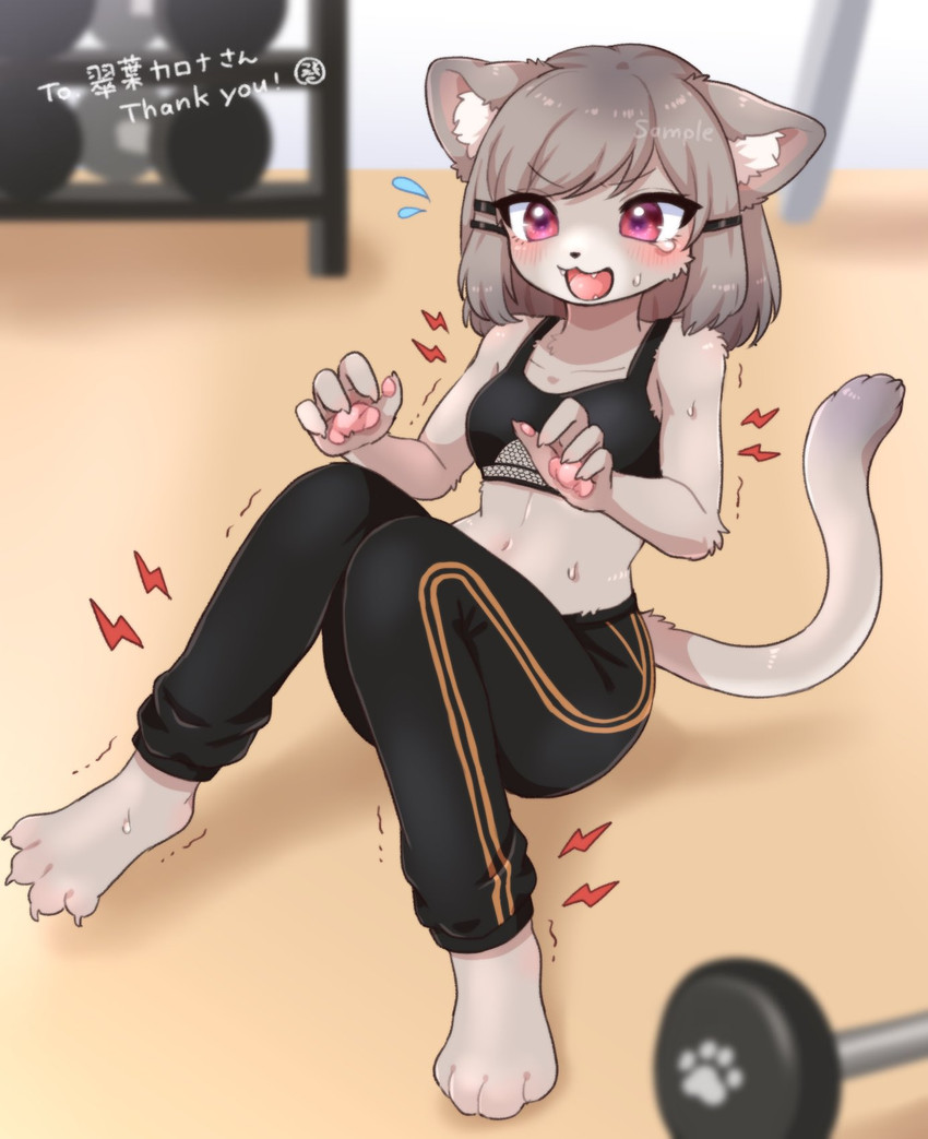 created by koto0v0haru