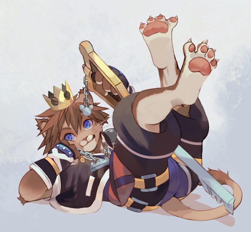 lion sora and sora (kingdom hearts and etc) created by uzucake