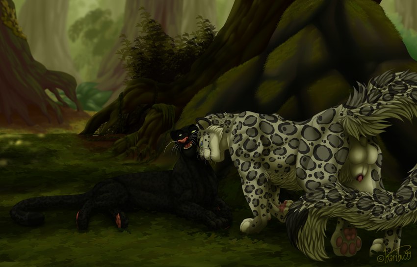 jumwo and kazik feral created by karibu99