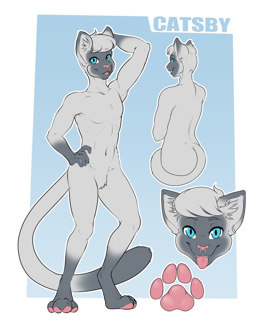 catsby mcyifferson created by strawberrycucumber