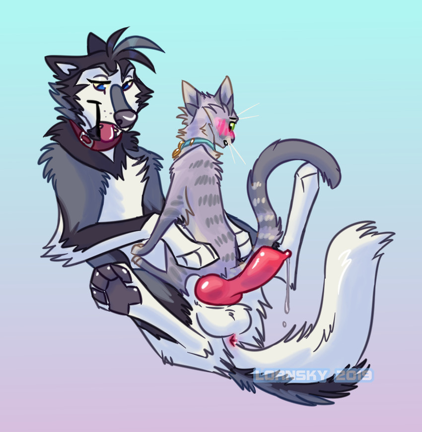 lorn created by lornsky